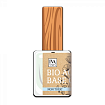 IVA Nails BIO ACTIVE BASE COAT (Базовое покрытие для ногтей)